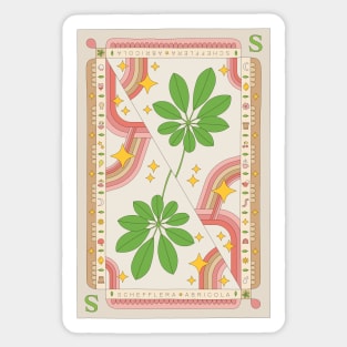 Schefflera Abricola Umbrella Plant Illustration with Playing Card Design for Plant Mom Plant Daddy Sticker